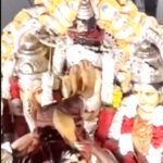 கட்டுரை, ஞாயிறு மலர்