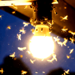 தமிழ்நாடு