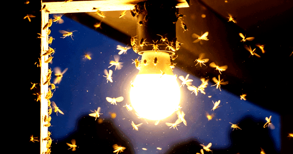 அறிவியல் அரங்கம்