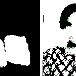 கட்டுரை, ஞாயிறு மலர்