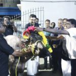 திராவிடர் கழகம்