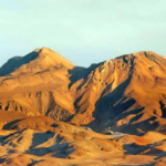 அரசு, தமிழ்நாடு