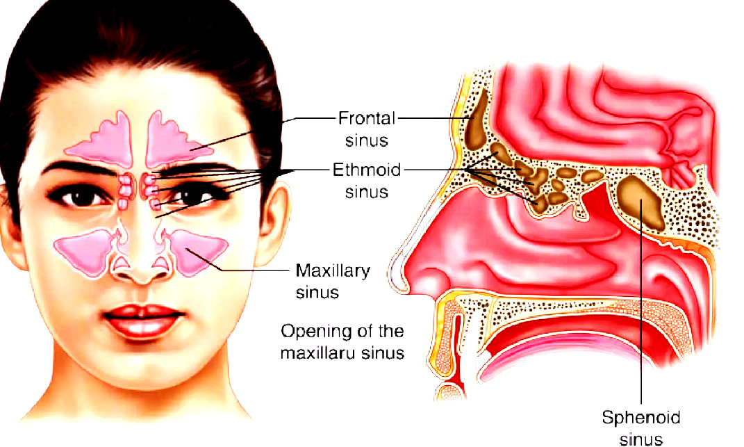 மருத்துவம்