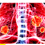 தமிழ்நாடு