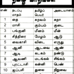 சிறப்புக் கட்டுரை, ஞாயிறு மலர்