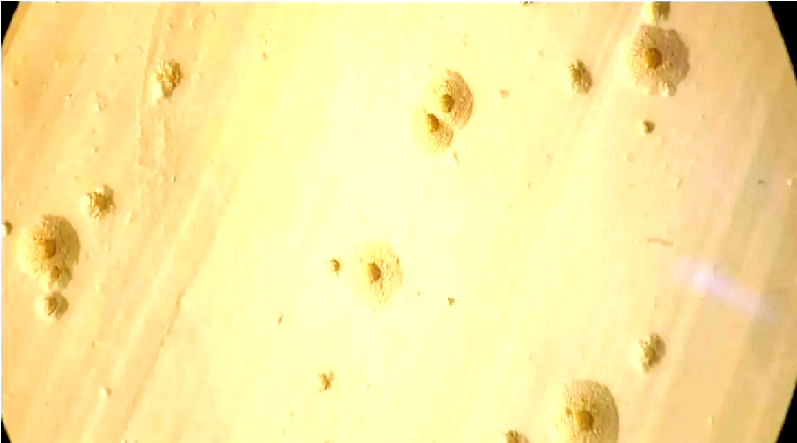 தமிழ்நாடு