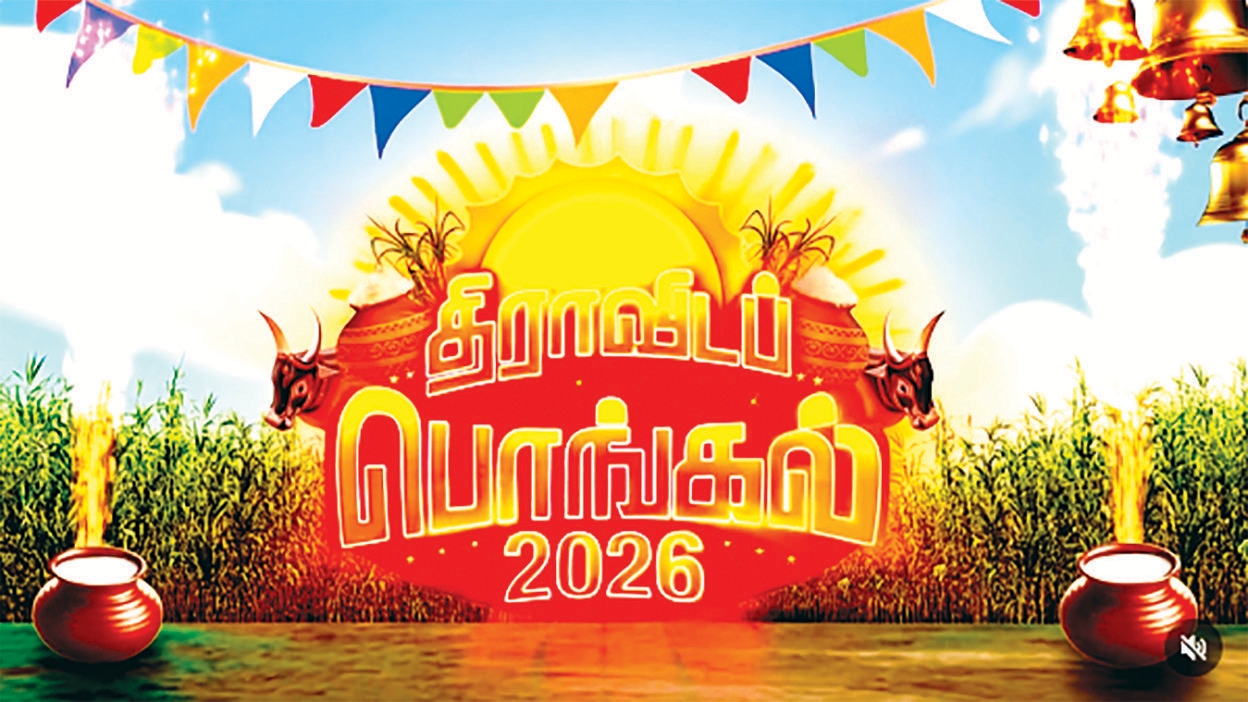 சிறப்புக் கட்டுரை