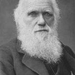 திராவிடர் கழகம்