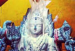 சிறப்புக் கட்டுரை