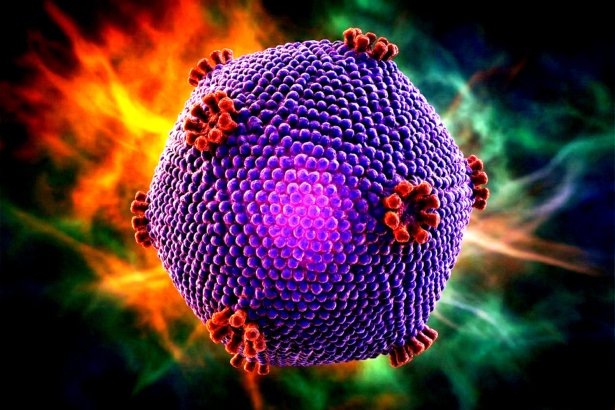 உஷிகுவைரஸ்