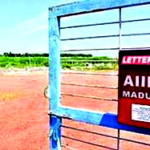 உலக செய்திகள்