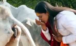 கட்டுரை