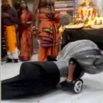 கட்டுரை, ஞாயிறு மலர்