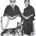 அறிவியல்