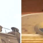 திராவிடர் கழகம்