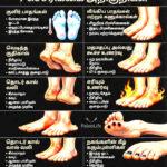 திராவிடர் கழகம்