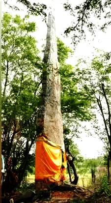 அரசு, தமிழ்நாடு