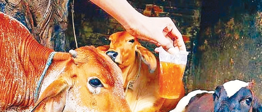 ஆசிரியர் விடையளிக்கிறார்