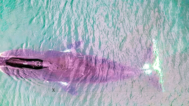 உலக செய்திகள்