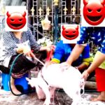 தமிழ்நாடு