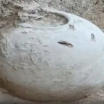 திராவிடர் கழகம்