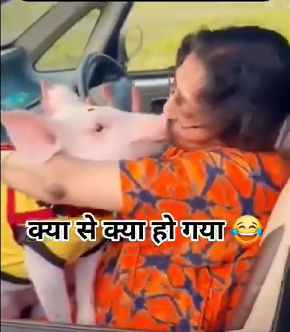 கட்டுரை, ஞாயிறு மலர்