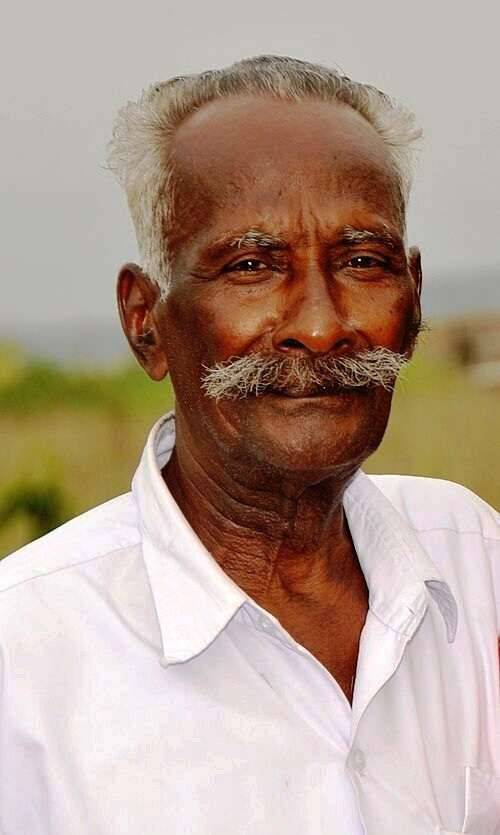 பெரியார் கல்வி நிறுவனங்கள்