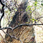 தமிழ்நாடு