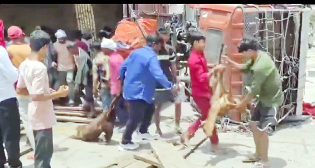 இந்தியா