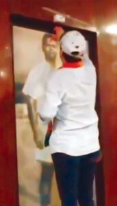கட்டுரை, ஞாயிறு மலர்