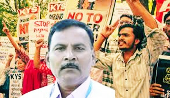 கட்டுரை, ஞாயிறு மலர்