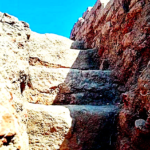 திராவிடர் கழகம்