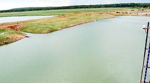 திராவிடர் கழகம்