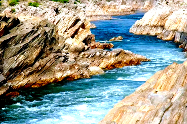 உடற்கொடை