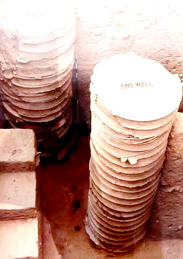 கட்டுரை, ஞாயிறு மலர்