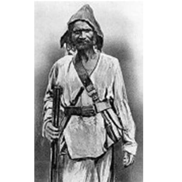 கட்டுரை, ஞாயிறு மலர்