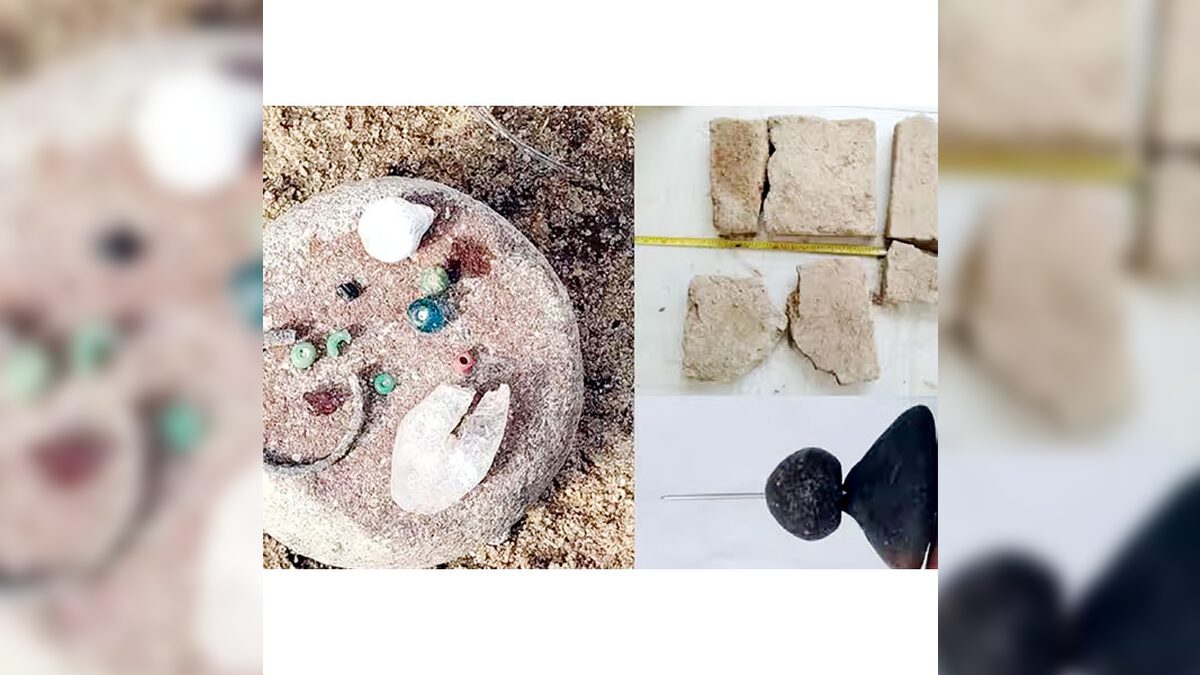 திராவிடர் கழகம்