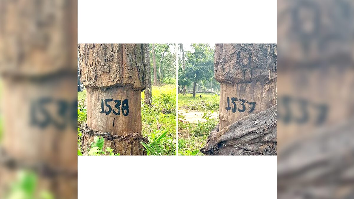 தமிழ்நாடு